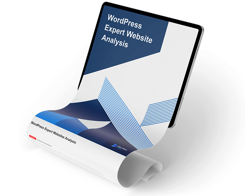 Free WordPress Expert Website Analysis